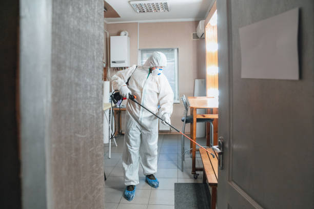 Best Airborne Mold Testing  in Fort Lauderdale, FL
