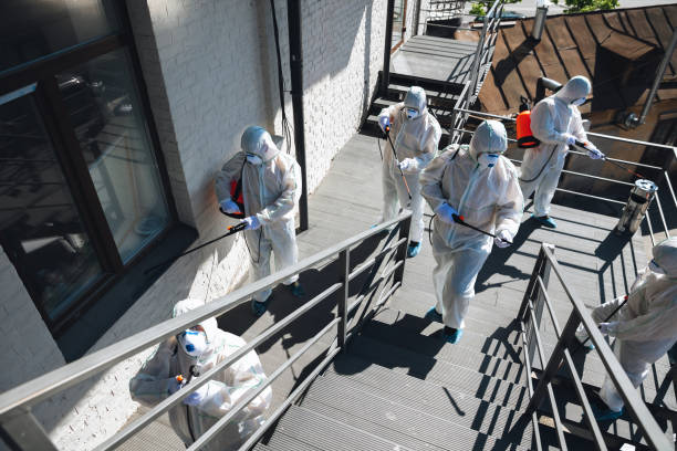 Best Post-Construction Mold Inspection  in Fort Lauderdale, FL