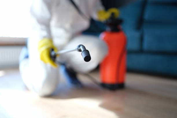 Best Indoor Air Quality Assessment  in Fort Lauderdale, FL