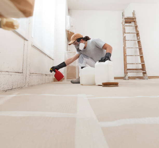Best Mold Damage Restoration  in Fort Lauderdale, FL